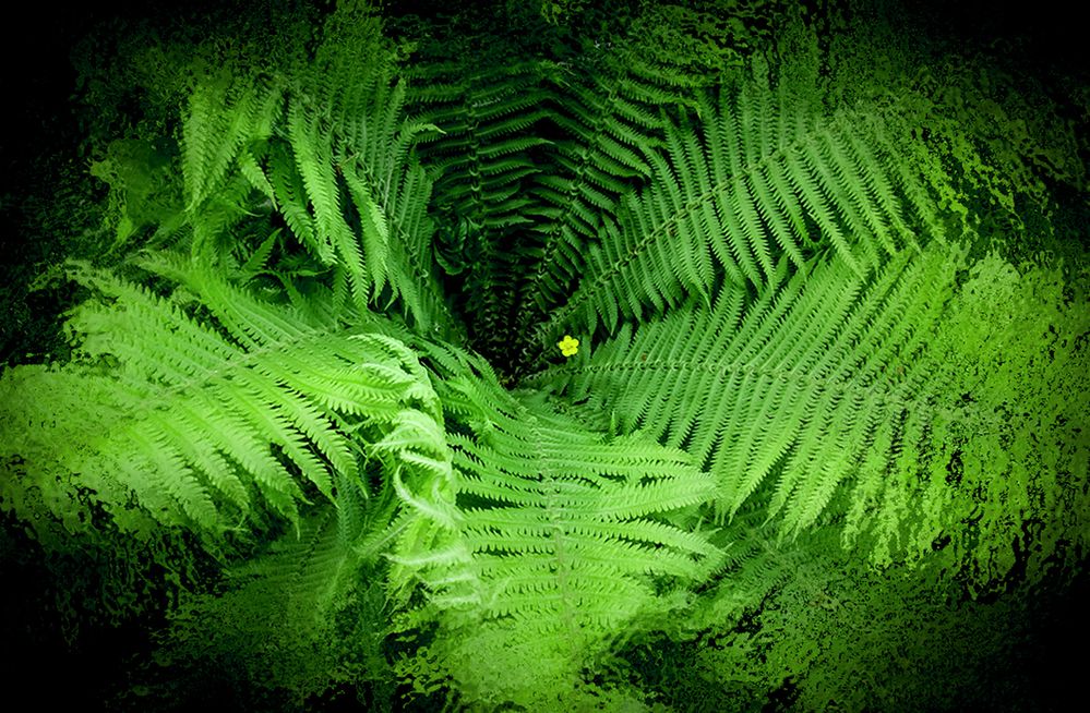 Photograph by Вячеслав Лычков