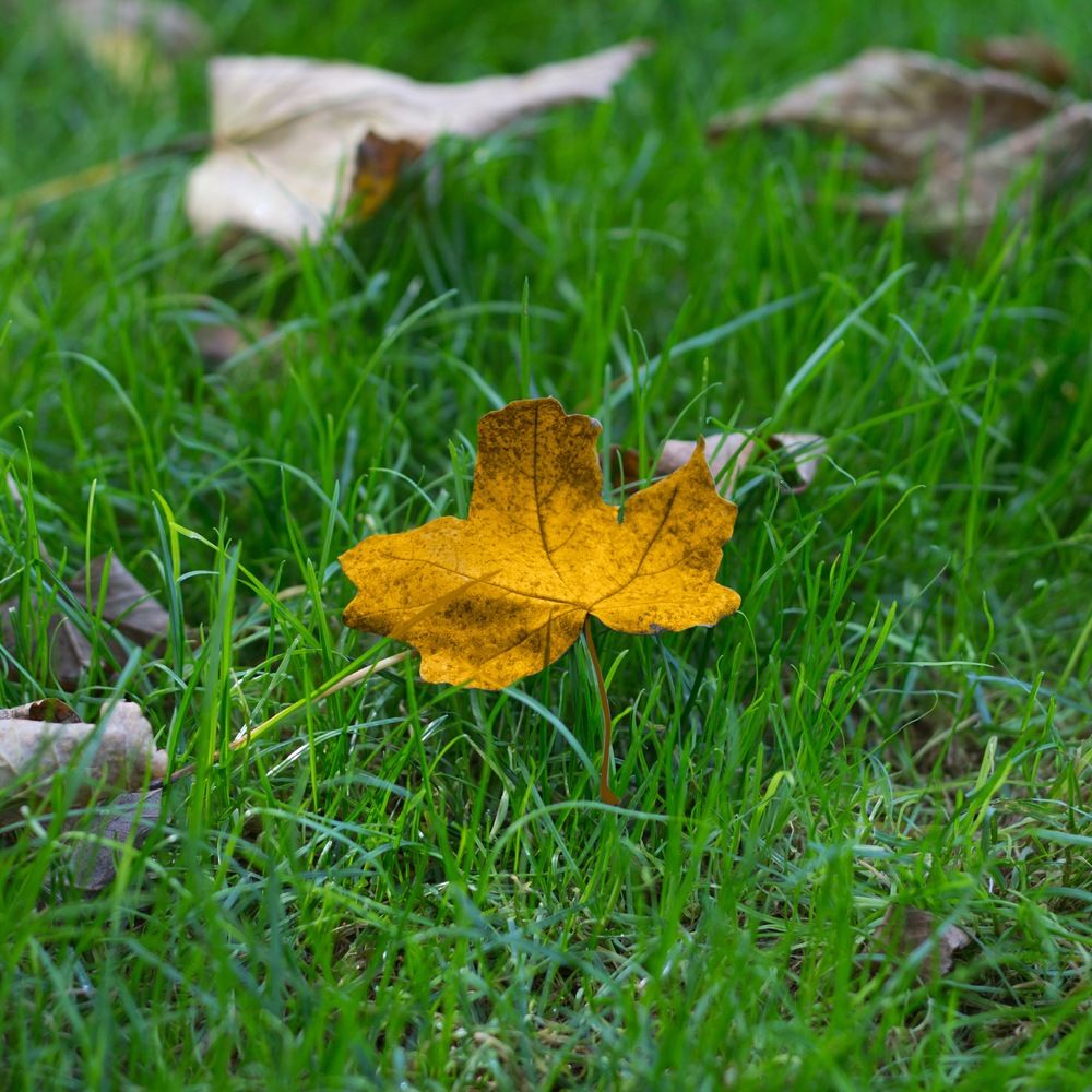 Photograph by Дмитрий Казачек