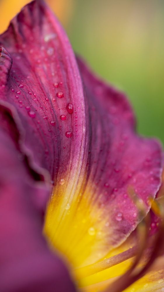 Photograph by Марина