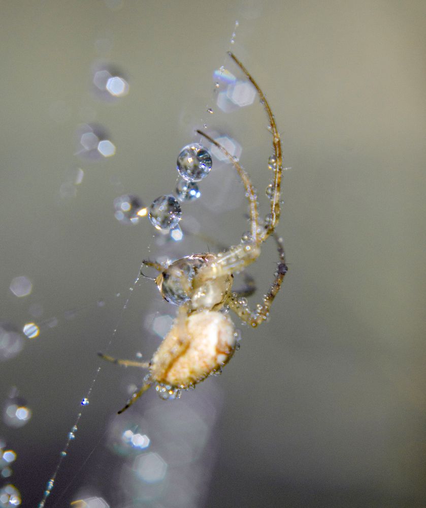 Photograph by Любовь Бусова