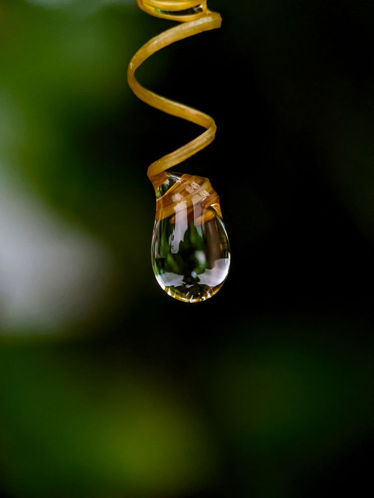 Photograph by Muhammed Nizam