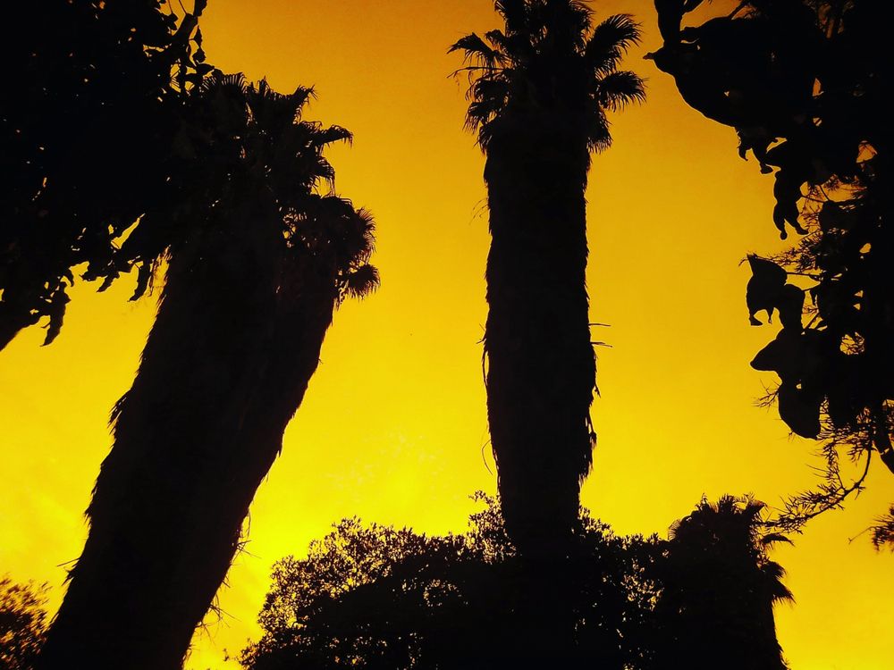 Photograph by Abraham Pahangwashimwe | IG@ imagination_supreme