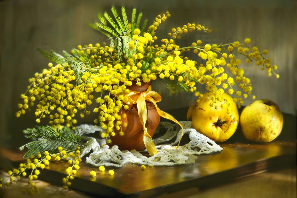 Photograph by Шруб (Беляева) Татьяна