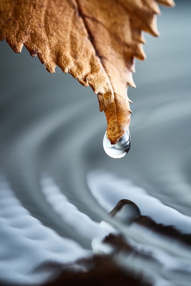 Photograph by Juri Vollenweider