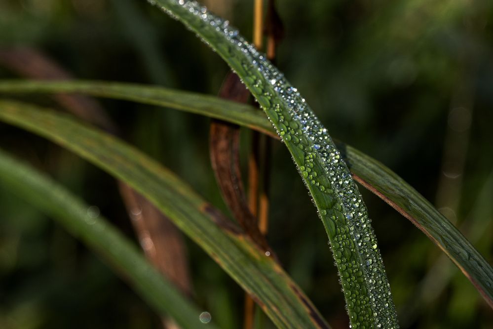 Фотография автора Ирина Гриценко