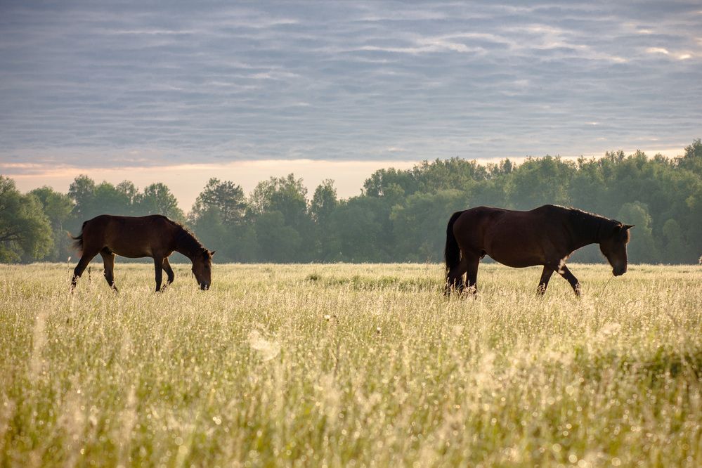Photograph by Елена Абрамова