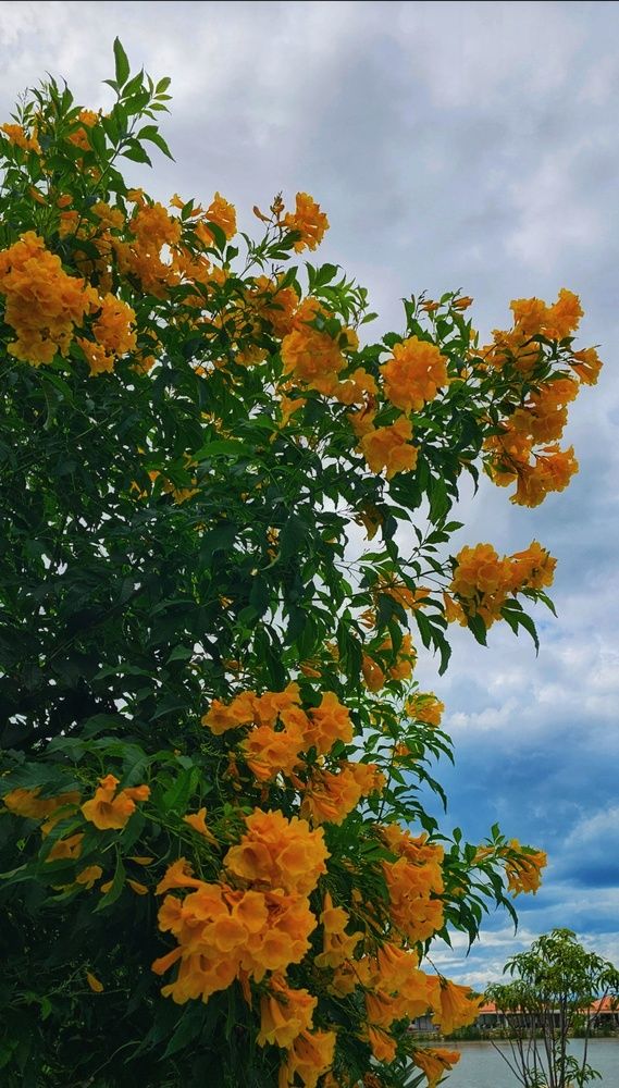 Photograph by Анна Далингер