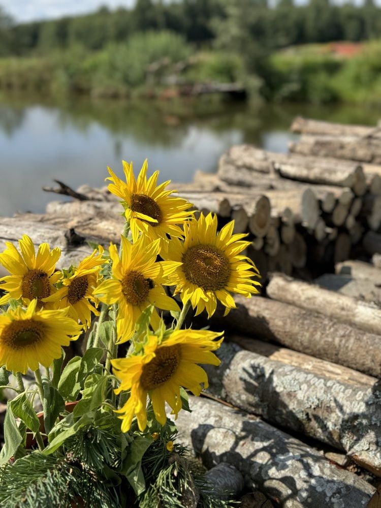 Photograph by Елена Войтова