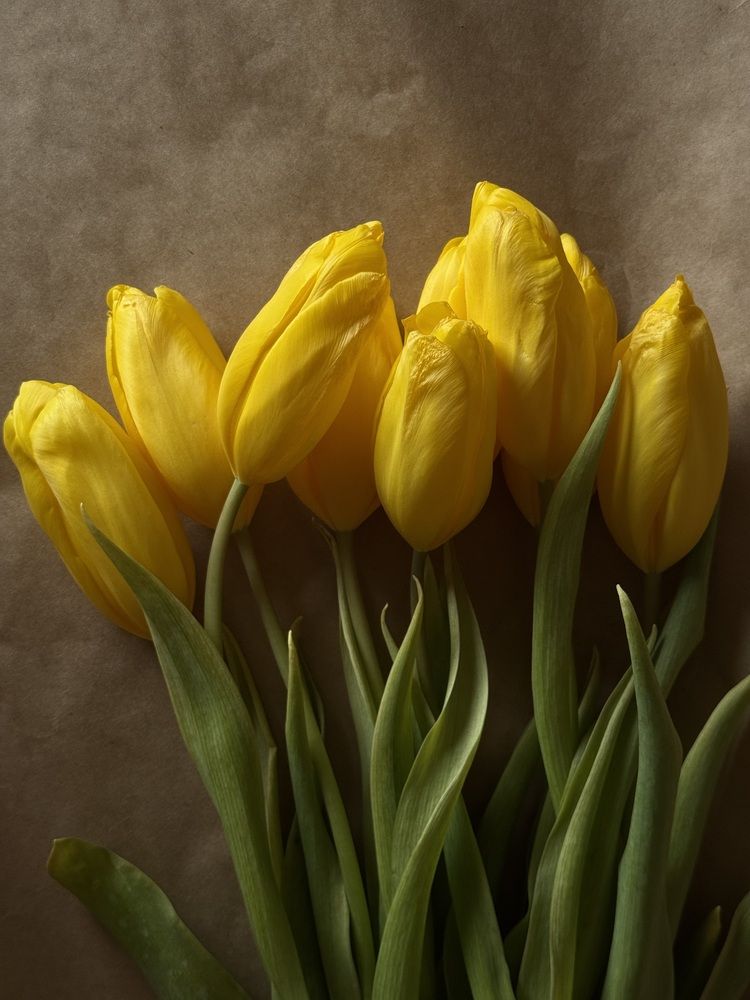 Photograph by Елена Войтова