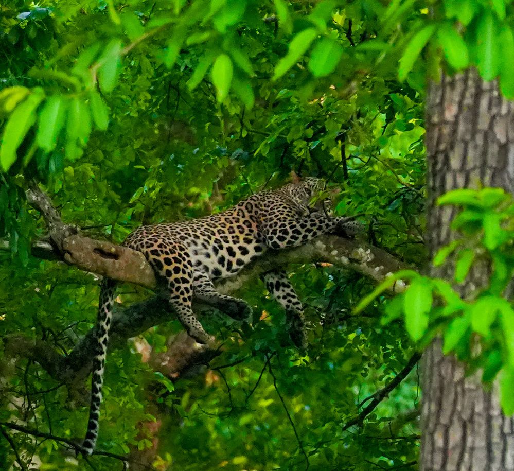 Photograph by SARAVANA MANICKAM