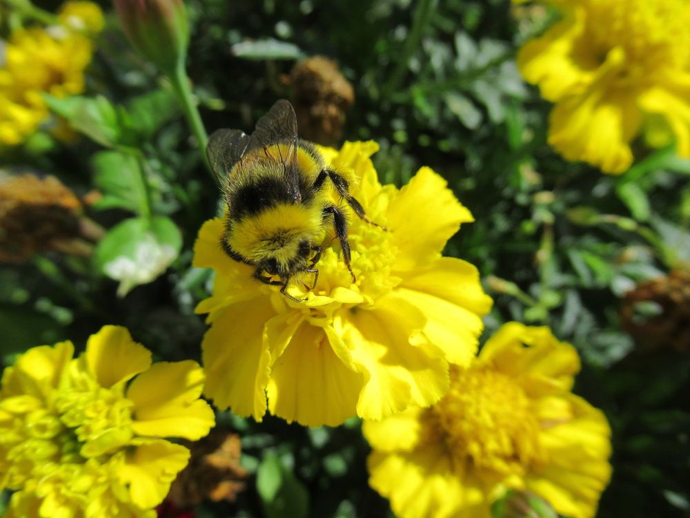 Photograph by Владимир