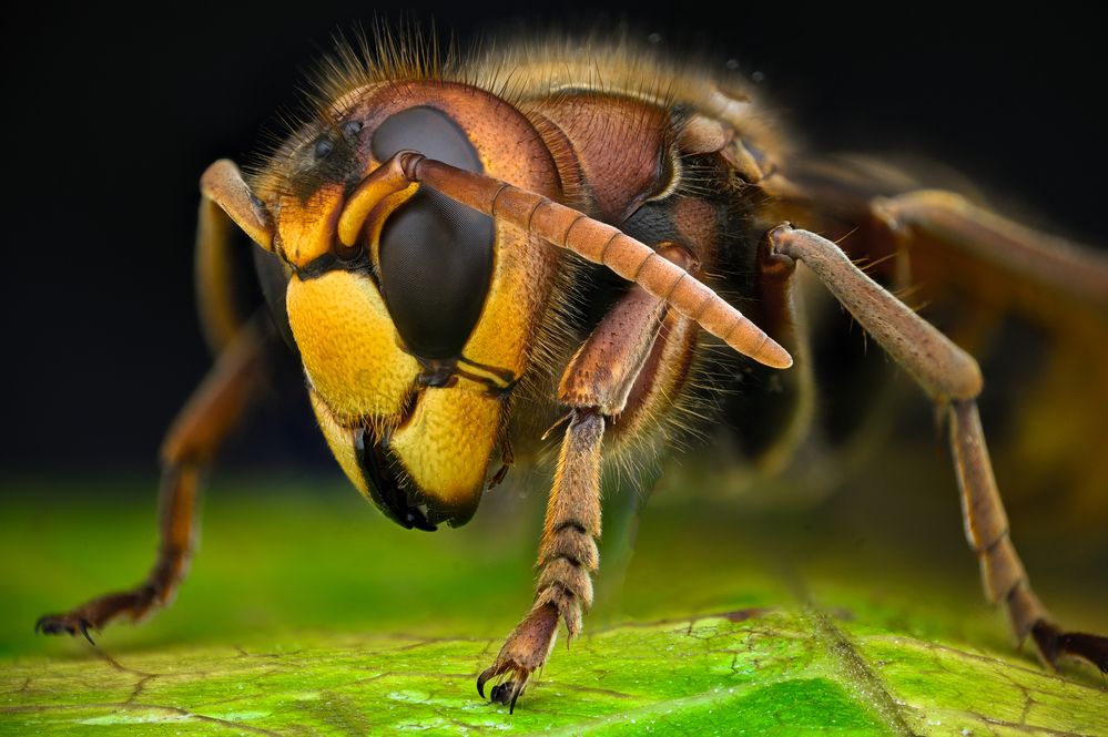 Photograph by Tsvetan Ganev