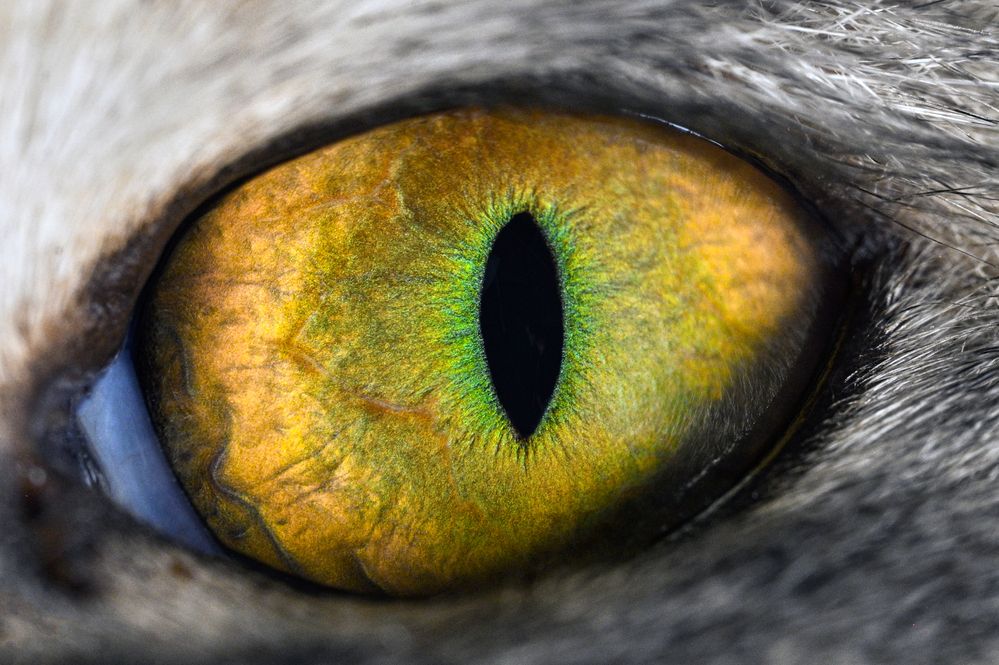 Photograph by Tsvetan Ganev