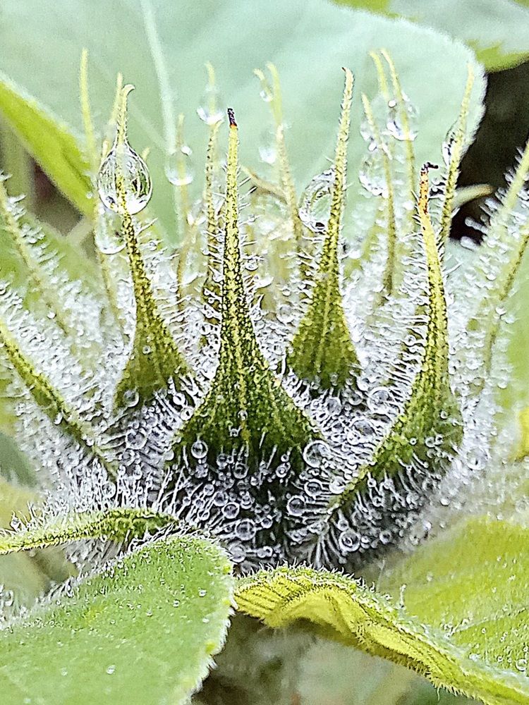 Photograph by Евгений Савулькин