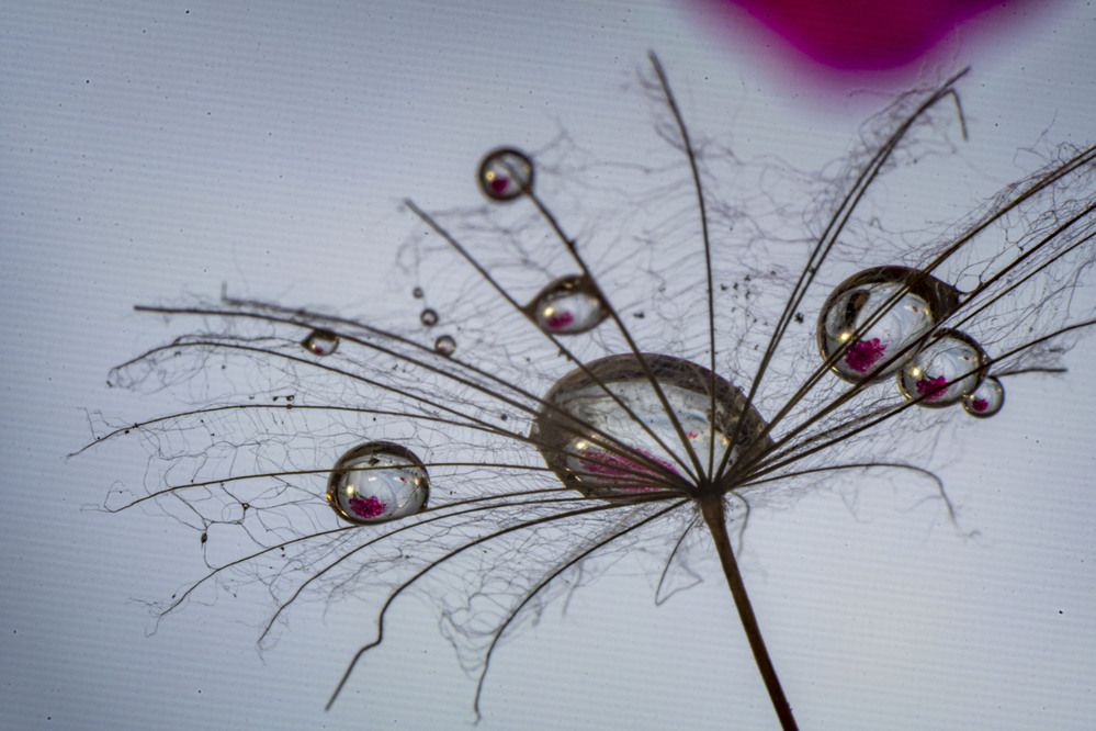 Photograph by Margarita