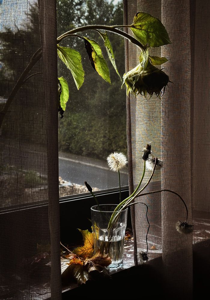 Photograph by Olga Schmidt