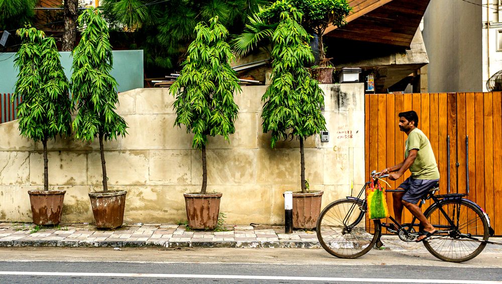 Фотография автора savitri Rawat