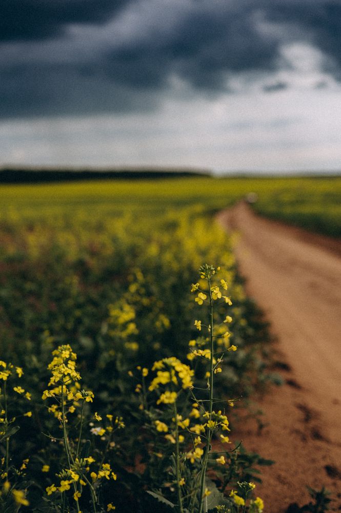 Photograph by Светлана Субботина