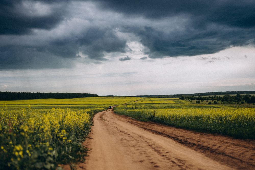 Photograph by Светлана Субботина