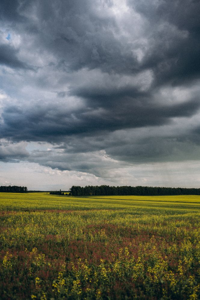 Photograph by Светлана Субботина