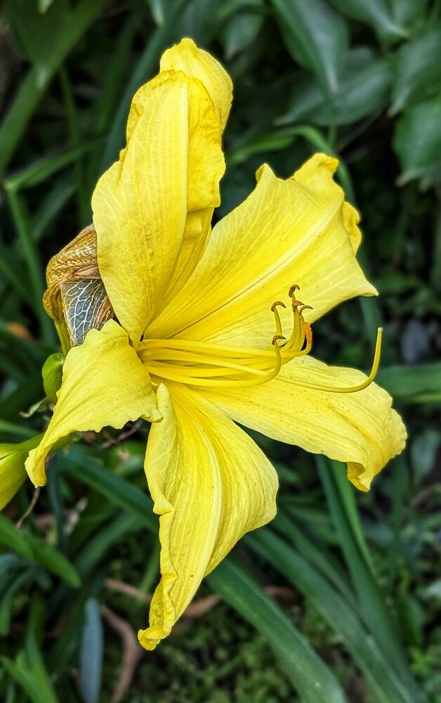 Photograph by Любовь Колмакова