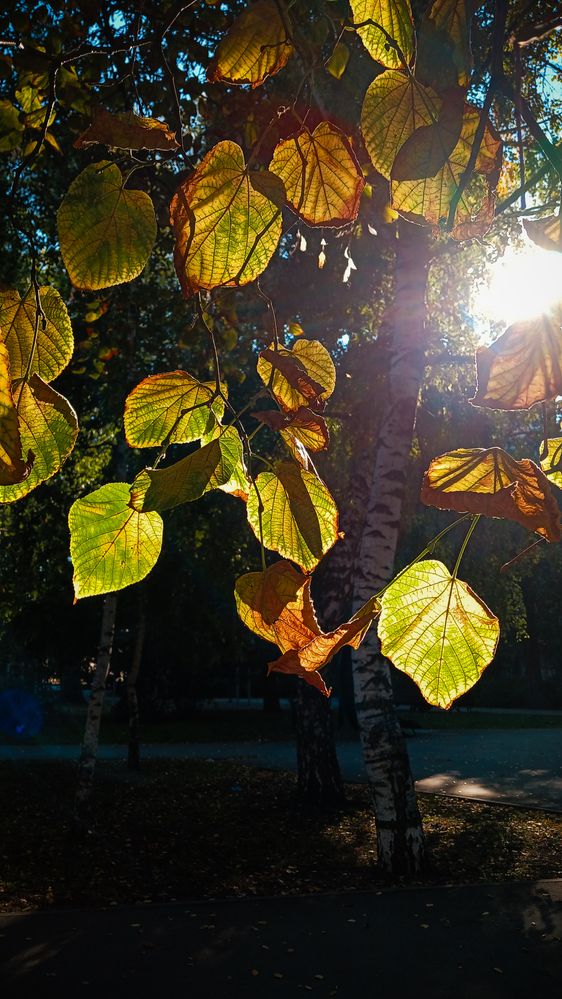 Фотография автора Дарина Фельдман