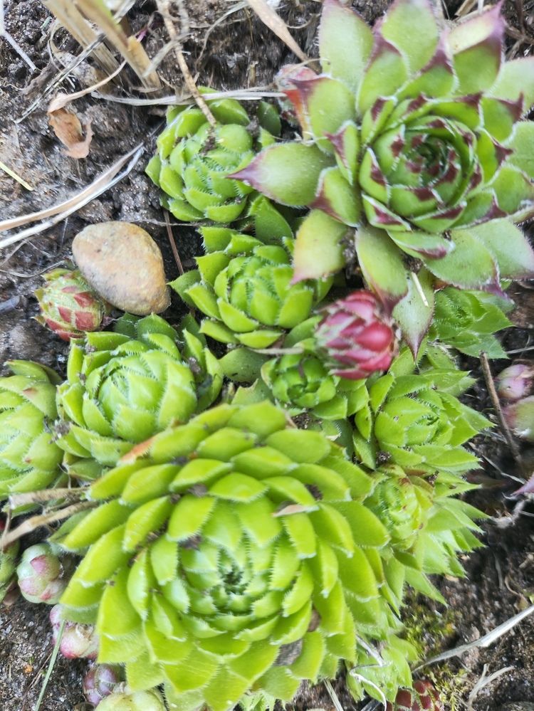 Photograph by Татьяна Пьянзина