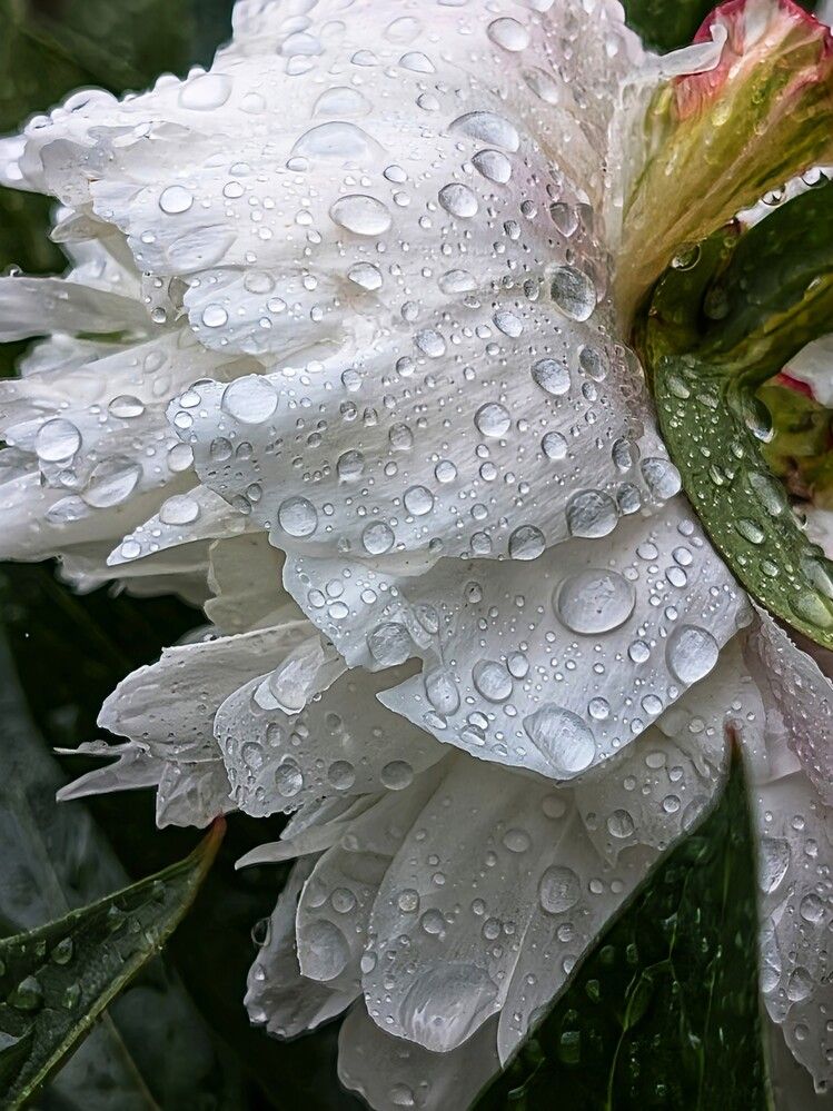 Photograph by Любовь Колмакова