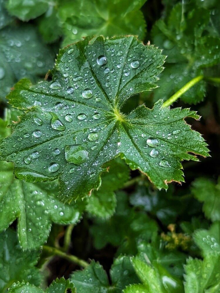 Photograph by Любовь Колмакова