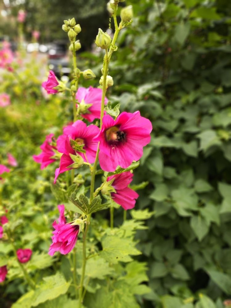 Photograph by Татьяна Пьянзина