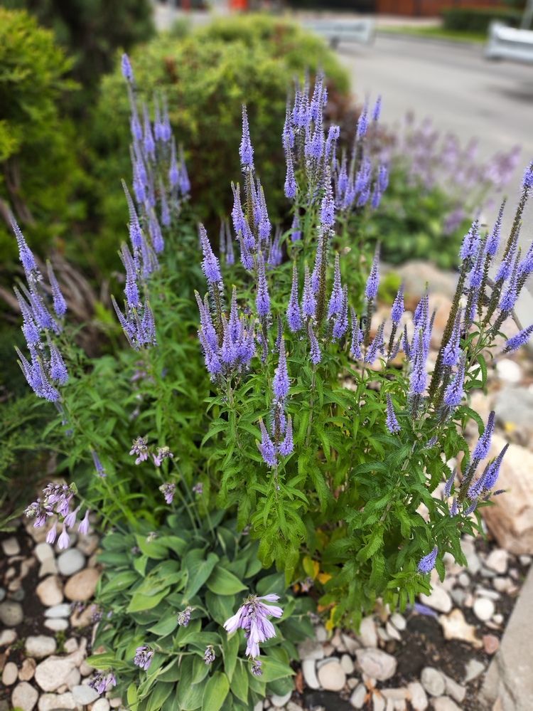 Photograph by Татьяна Пьянзина