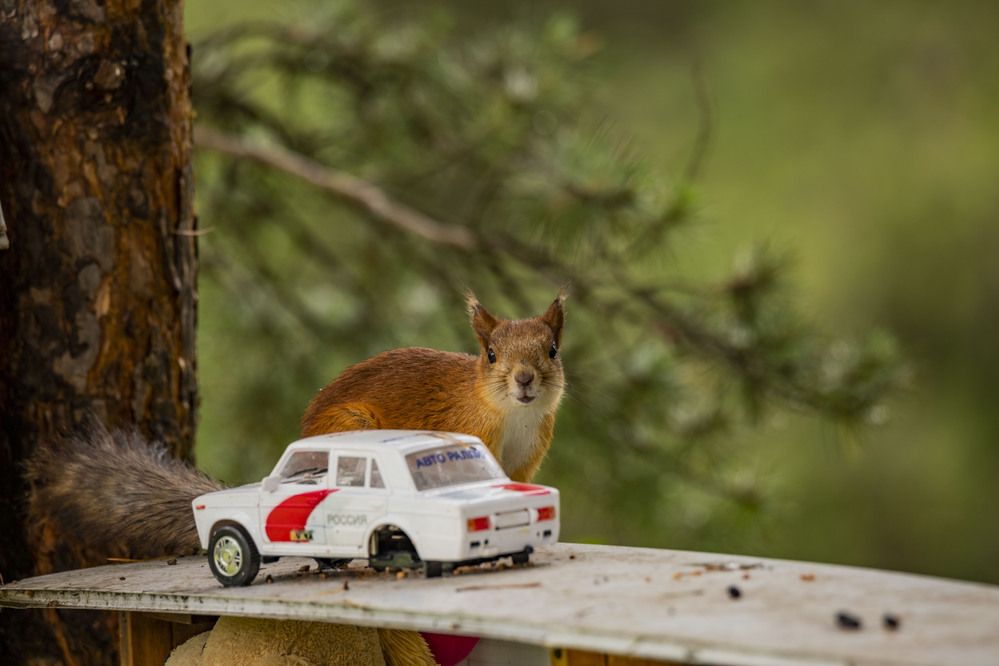 Photograph by Елена Перминова