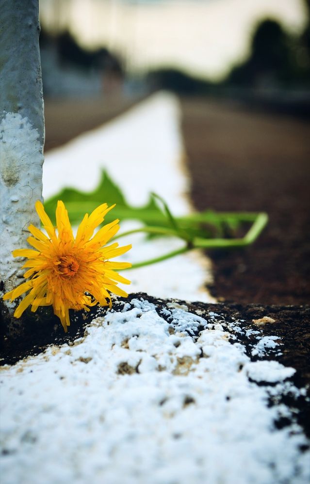 Photograph by Александр Лабутин