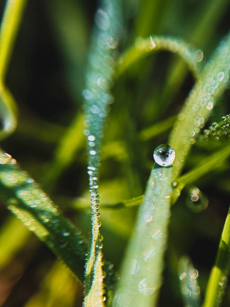 Photograph by Алиса Чугунова