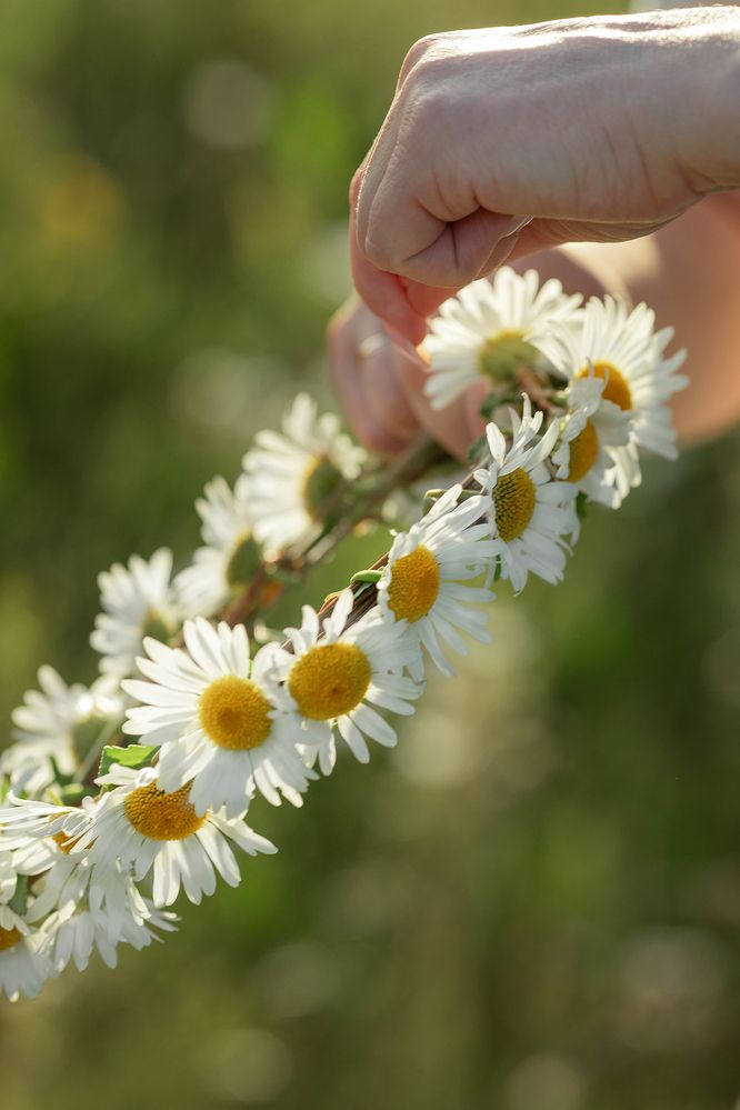 Photograph by Ольга Потачева