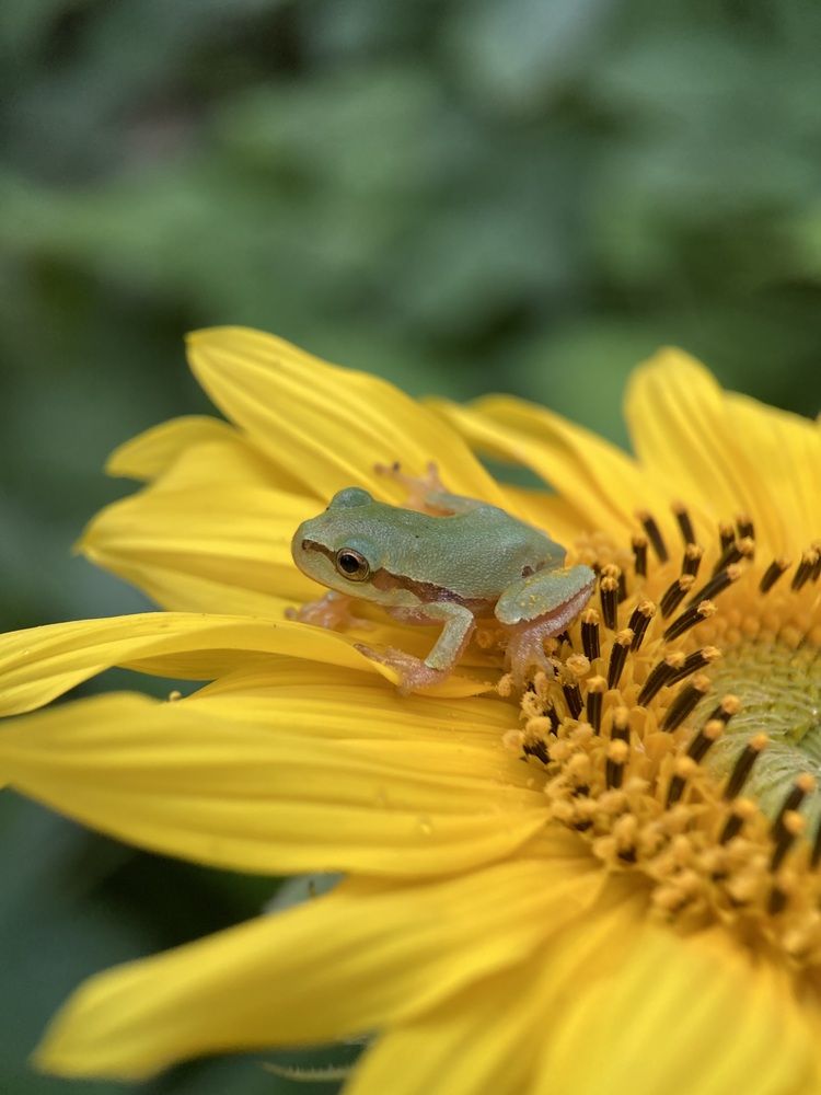 Photograph by Lyudmila Konigina