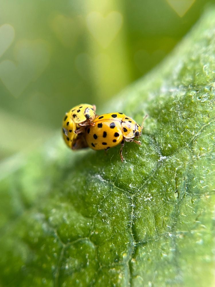 Photograph by Lyudmila Konigina