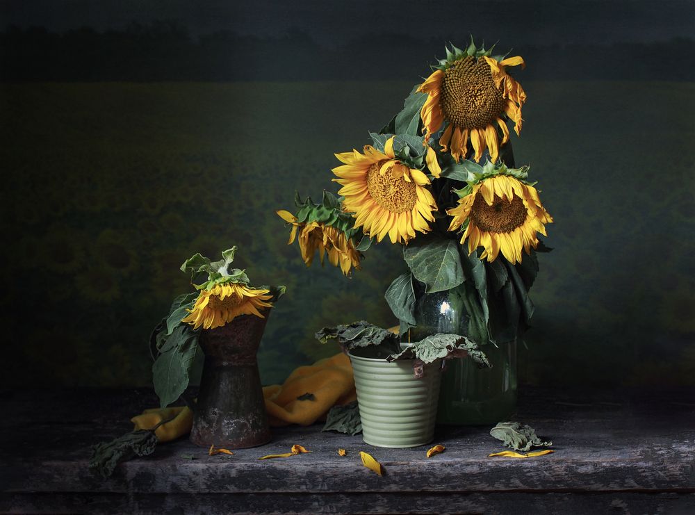 Photograph by Svetlana Inyusheva