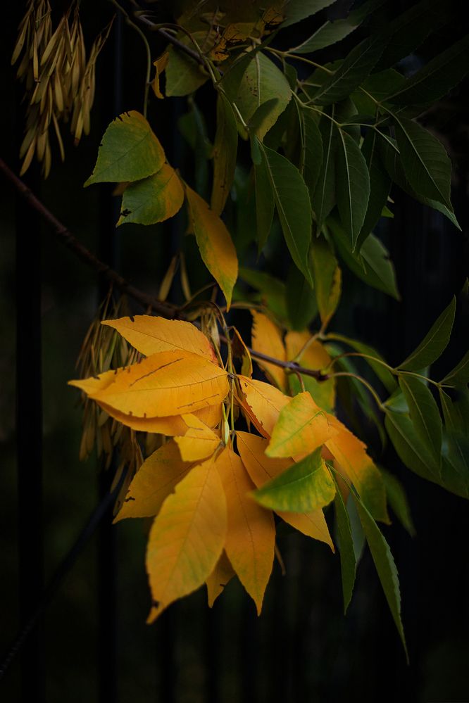 Photograph by ВЛАДИМИР ВОРОБЬЕВ