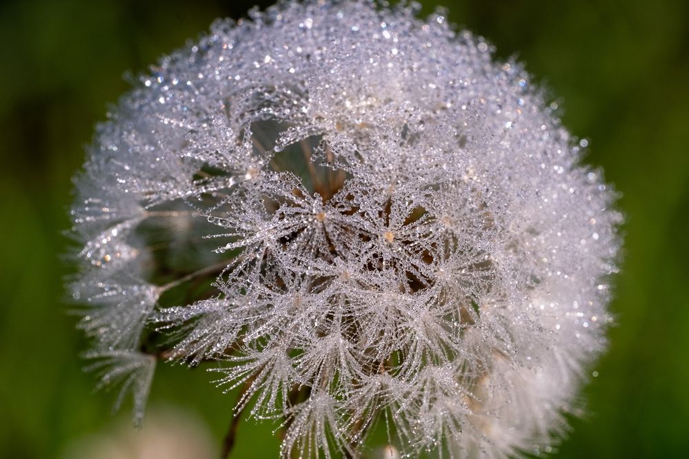 Фотография автора Светлана Ощепкова