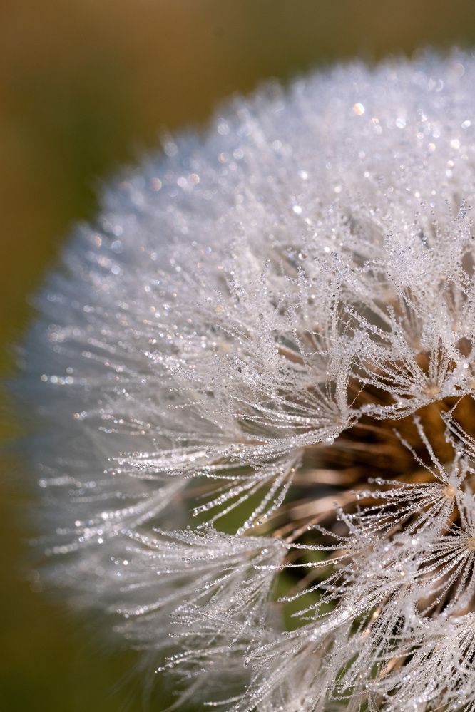 Фотография автора Светлана Ощепкова