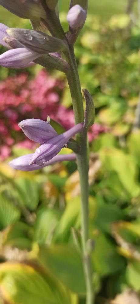 Photograph by Валерия Сопова