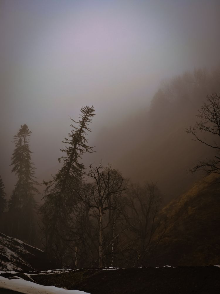 Photograph by Anastasia Akkerman