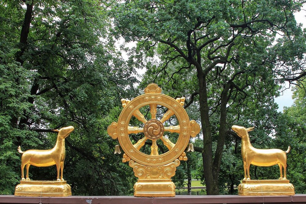 Photograph by Елена Данченко