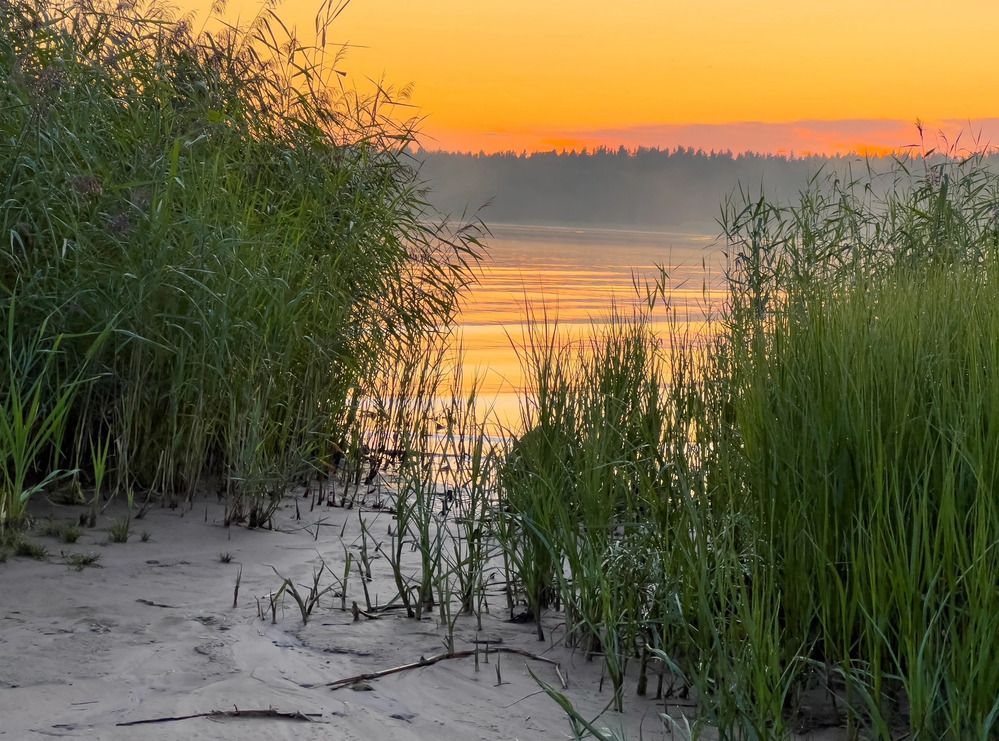 Photograph by Елена Данченко