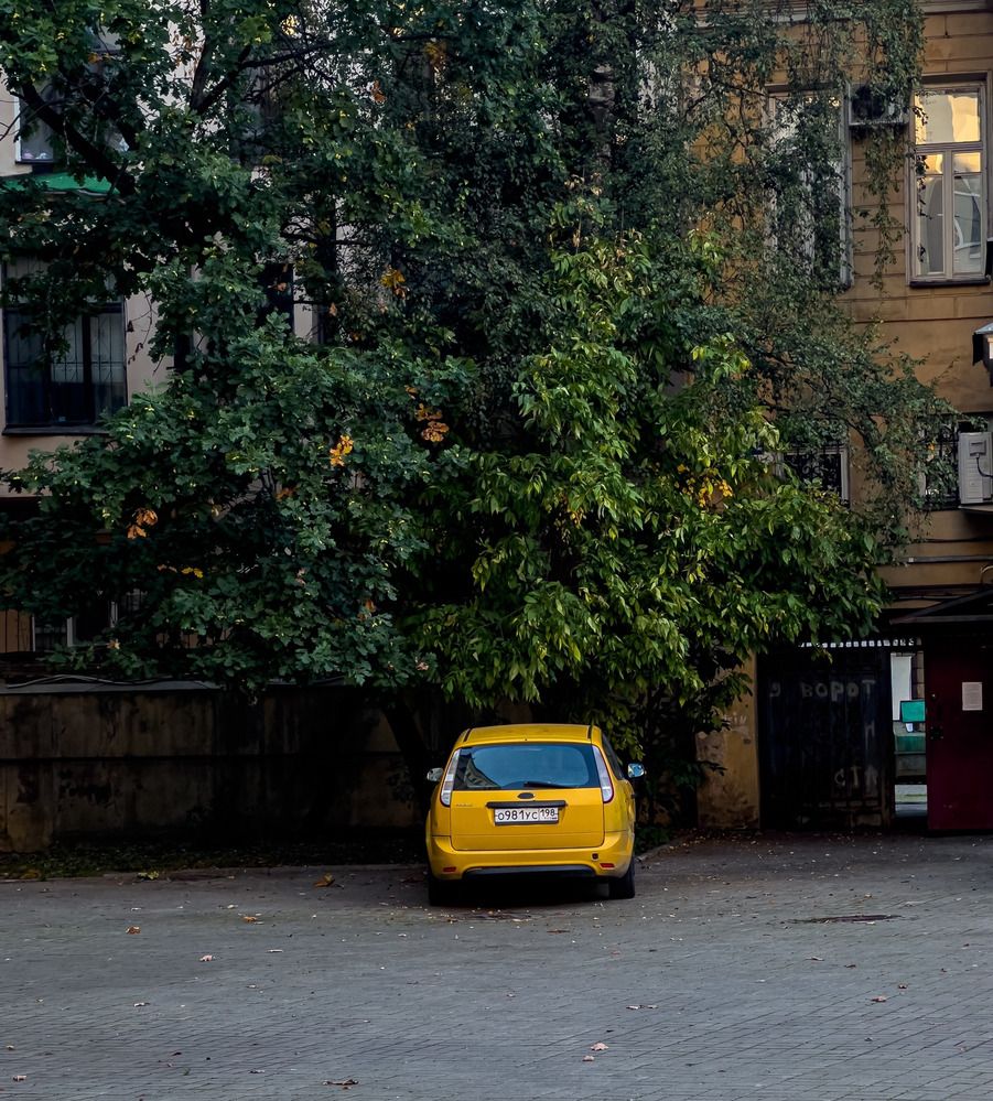 Photograph by Елена Данченко