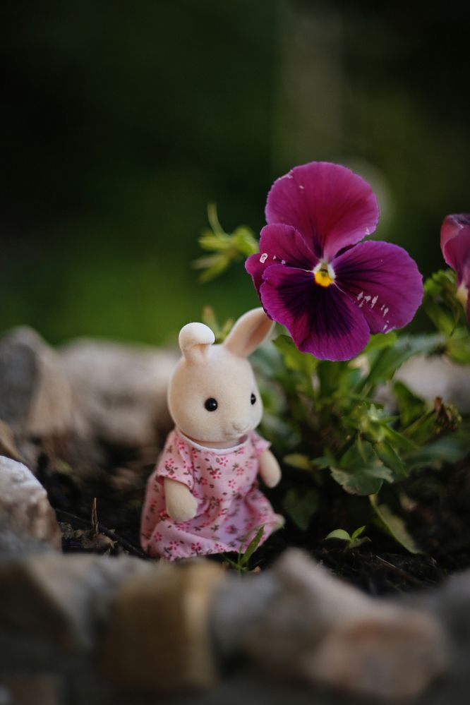 Фотография автора Тамара Нижельская