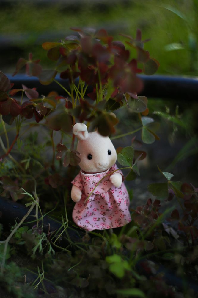 Фотография автора Тамара Нижельская