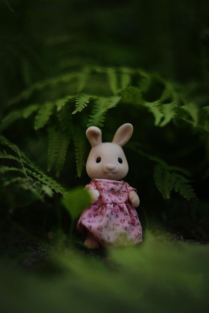 Фотография автора Тамара Нижельская