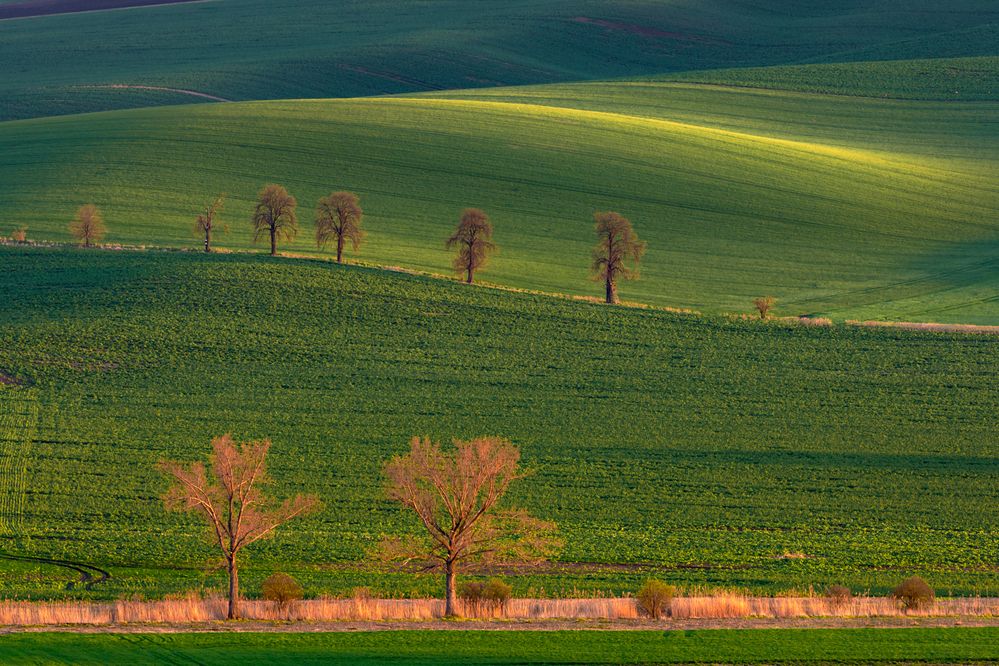 Photograph by Евгения Чех
